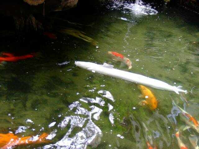 全員戒備..準備浮出水面~~~~~