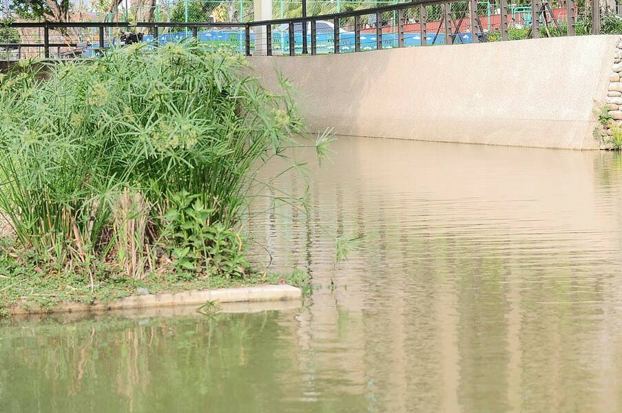 JC0_9780_調整大小 .JPG