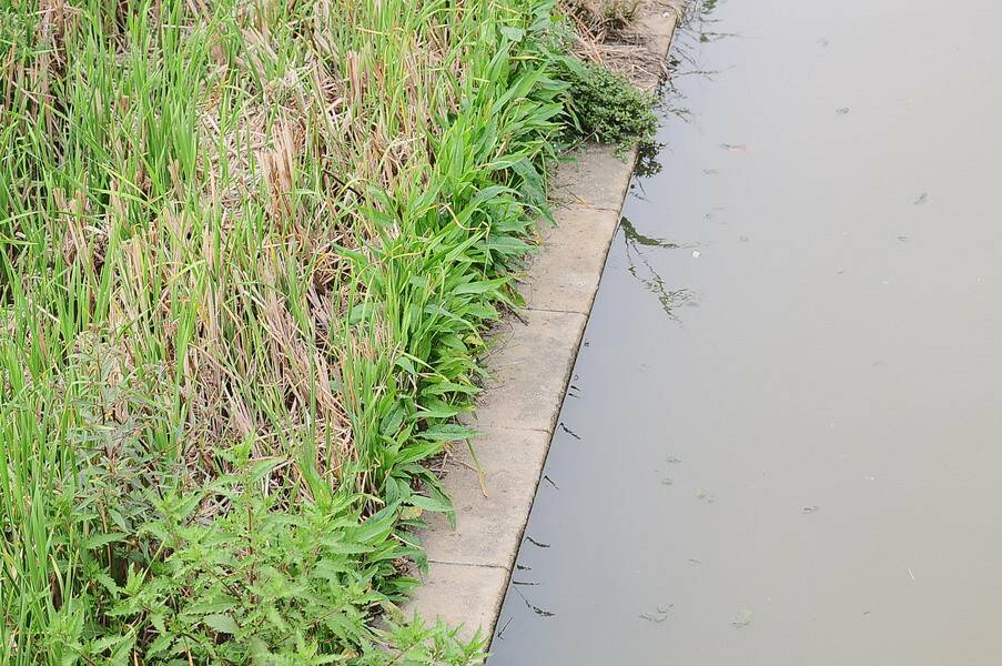 JC0_9796_調整大小 .JPG