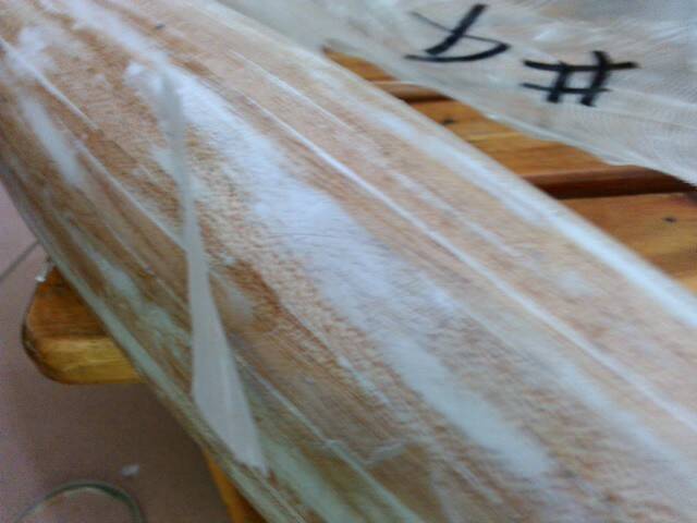 連陽模都脫了-1