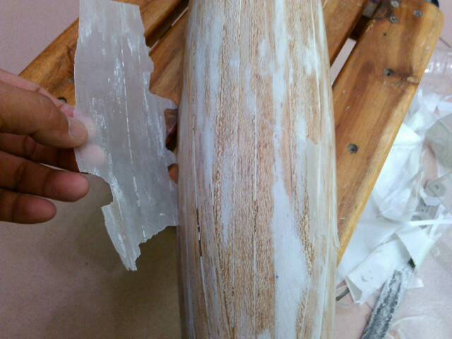 連陽模都脫了-2