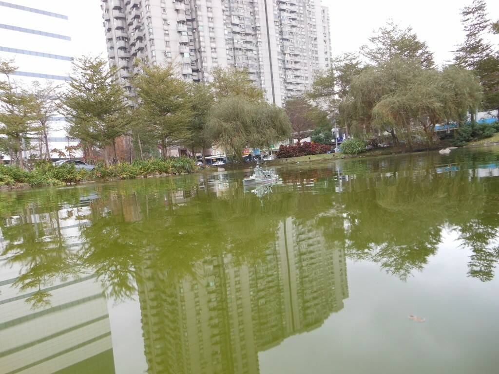 DSCN1703 (1024x768).jpg