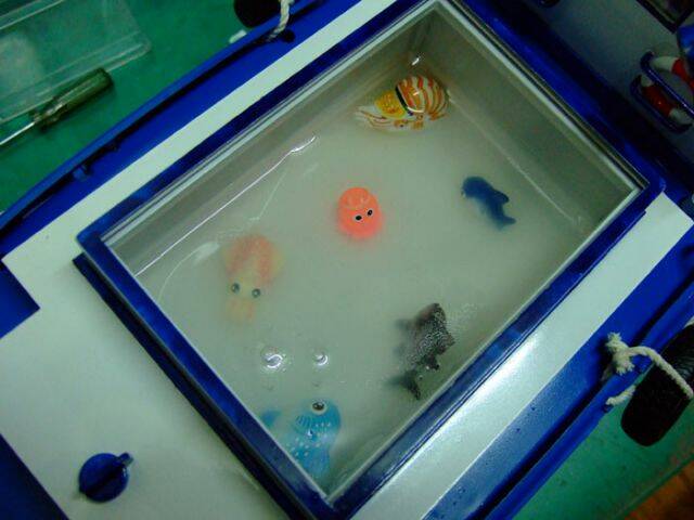 第一次出航的漁獲