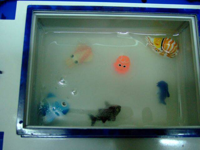 第一次出航的漁獲 2