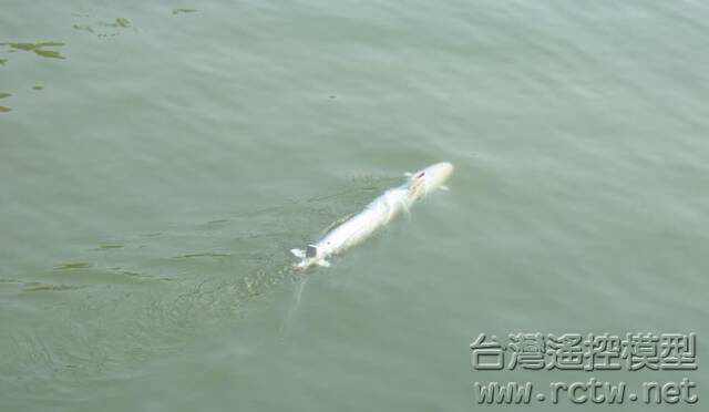 叛逃前的照片 3