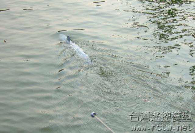 叛逃前的照片 1