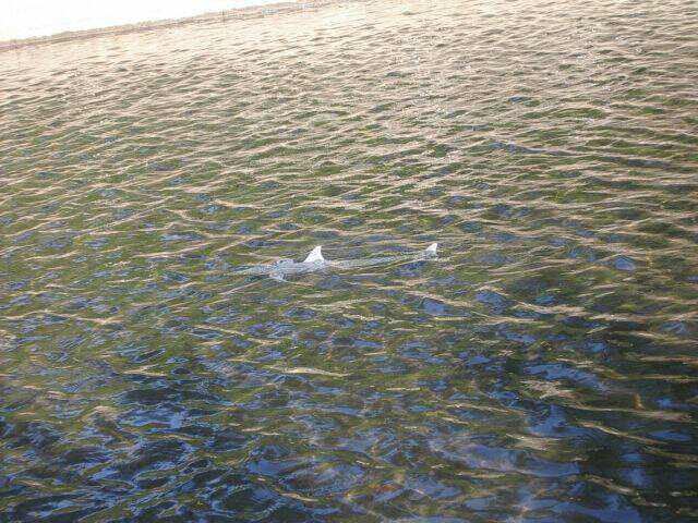 2008武夷山廬山 034.jpg