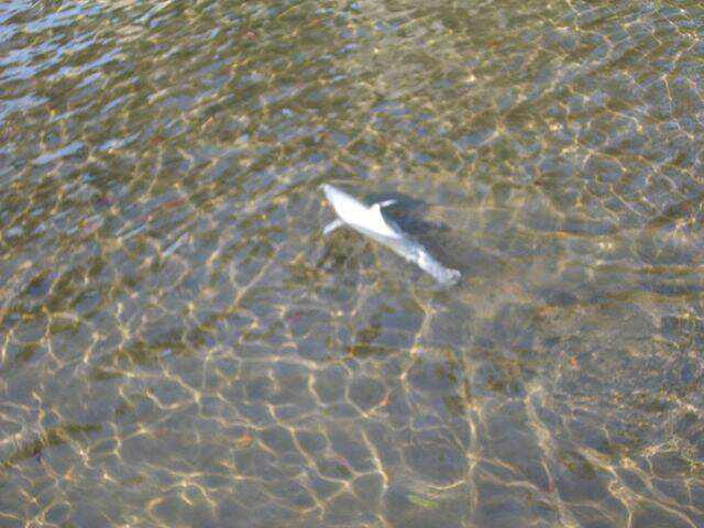 2008武夷山廬山 030.jpg