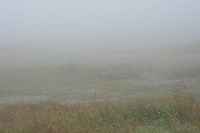 好濃的霧  能見度約40公尺而已