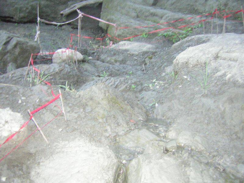 DSCN5893.JPG