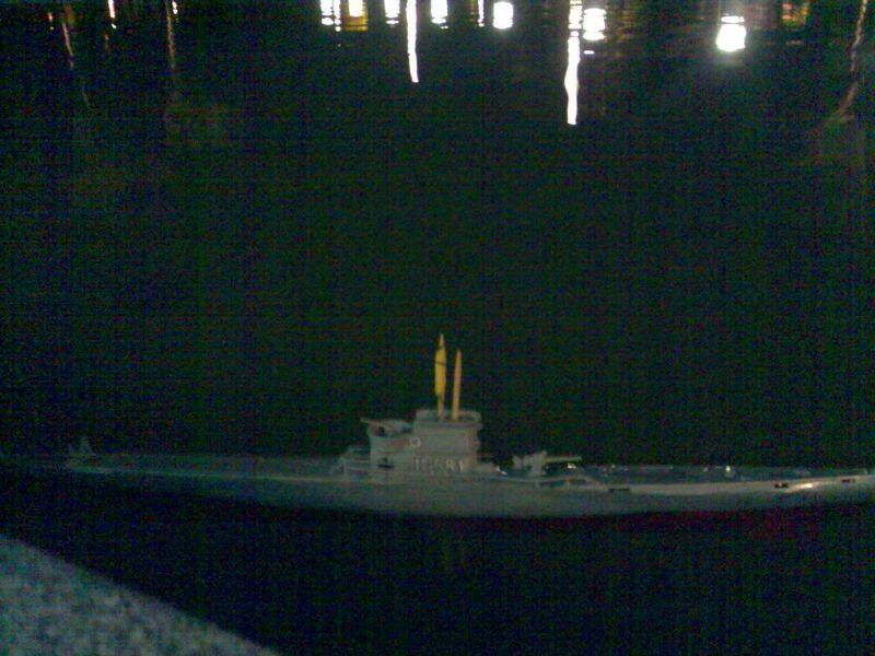 天ㄚ...速度像黑鮪魚