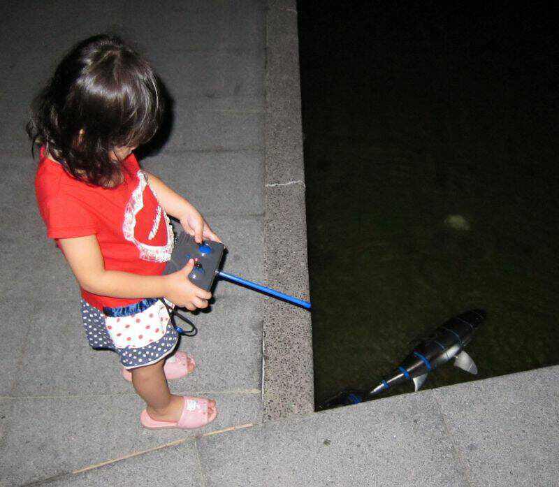 幼幼版的新手出發