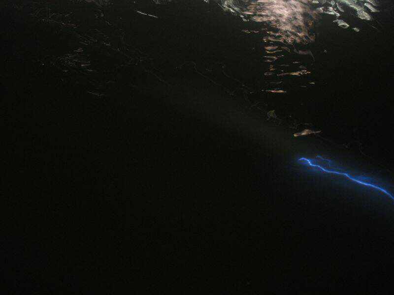 IMG_1194_大小 .JPG