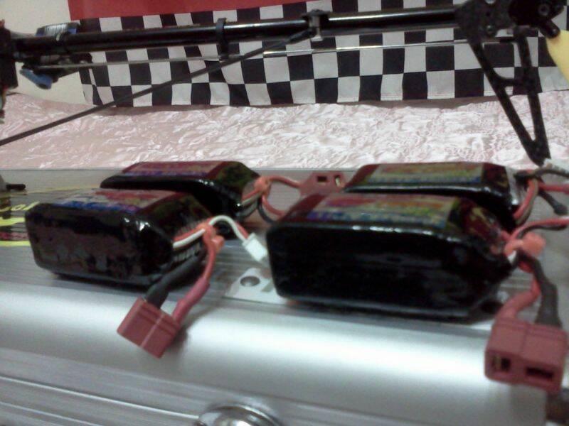 IMG20110129_014 [50%].jpg