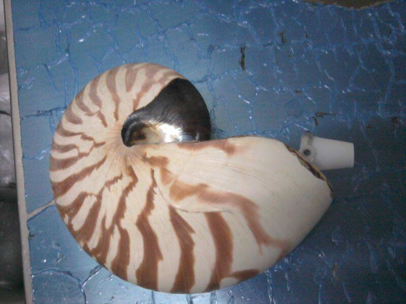 2011-04-08 06.32.15.jpg