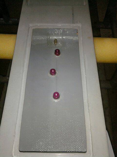 100.10.25-相片001 (1).jpg