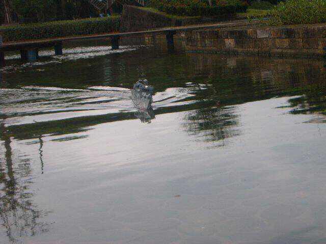 暈船的連續動作3