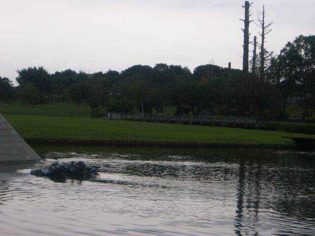 暈船的連續動作2