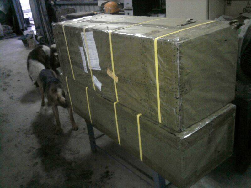 阿花想知道裡面裝蝦咪