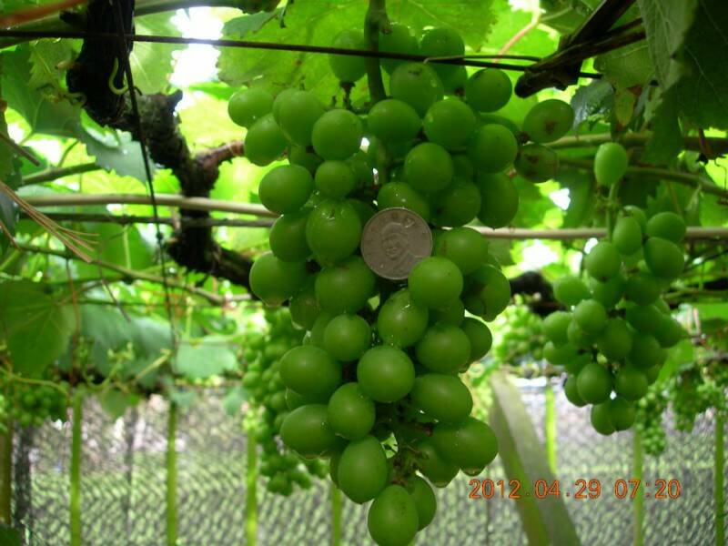 林万益 今没告你 我跟你姓林 泄密罪 - ★讨论区