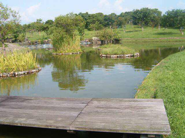 探索未知的議會水域另一區