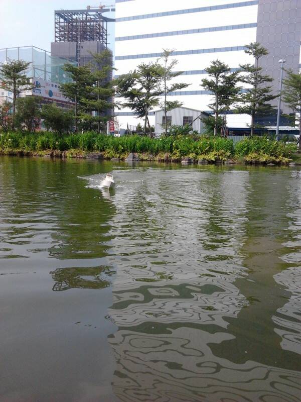 2012-09-09 09.35.39.jpg