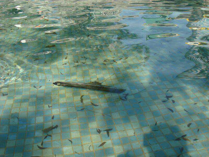 累了~先躺水底休息一下好了