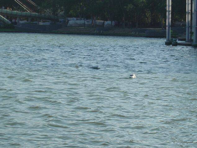 複製 -照片 005.jpg