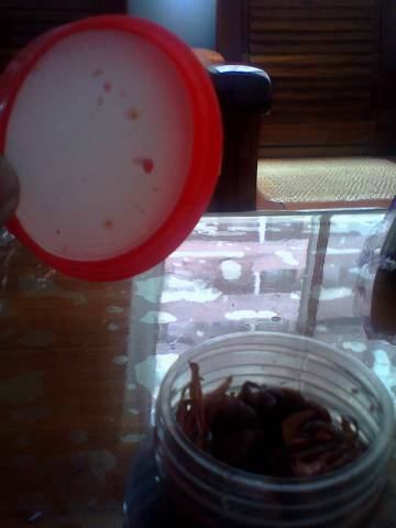 打開後罐子上的寶麗龍可以取下 前提是罐子裡面沒東西 不然食物會腐敗