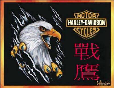 Harley Davidson Eagle Logo.jpg