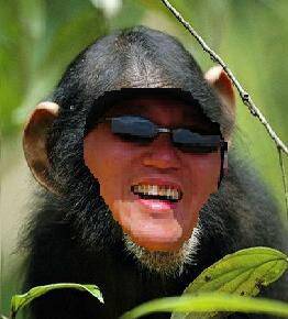 有沒有看過猴子帶墨鏡的啊
